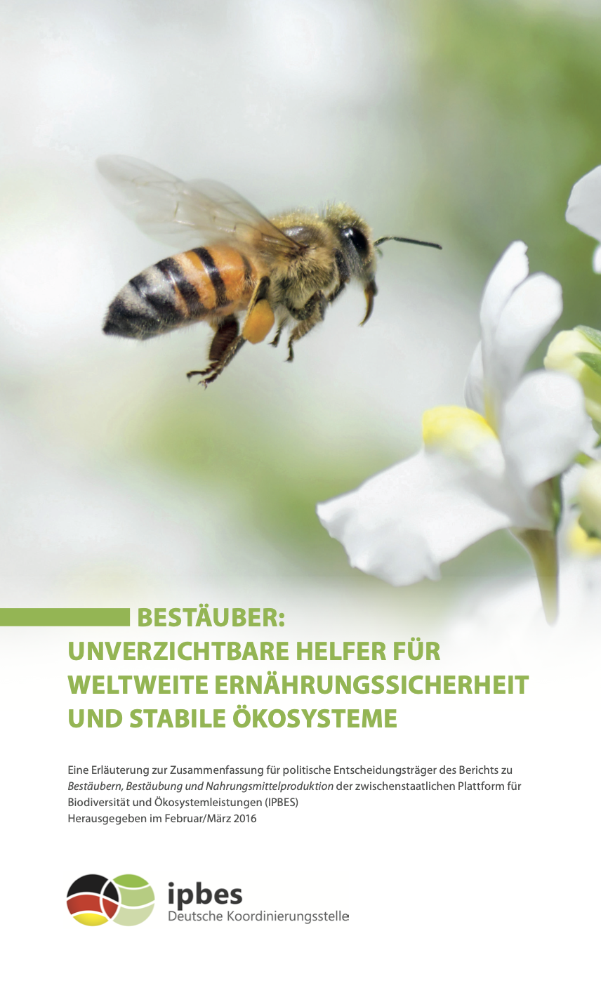 Bestäuber: Unverzichtbare Helfer für weltweite Ernährungssicherheit und stabile Ökosysteme