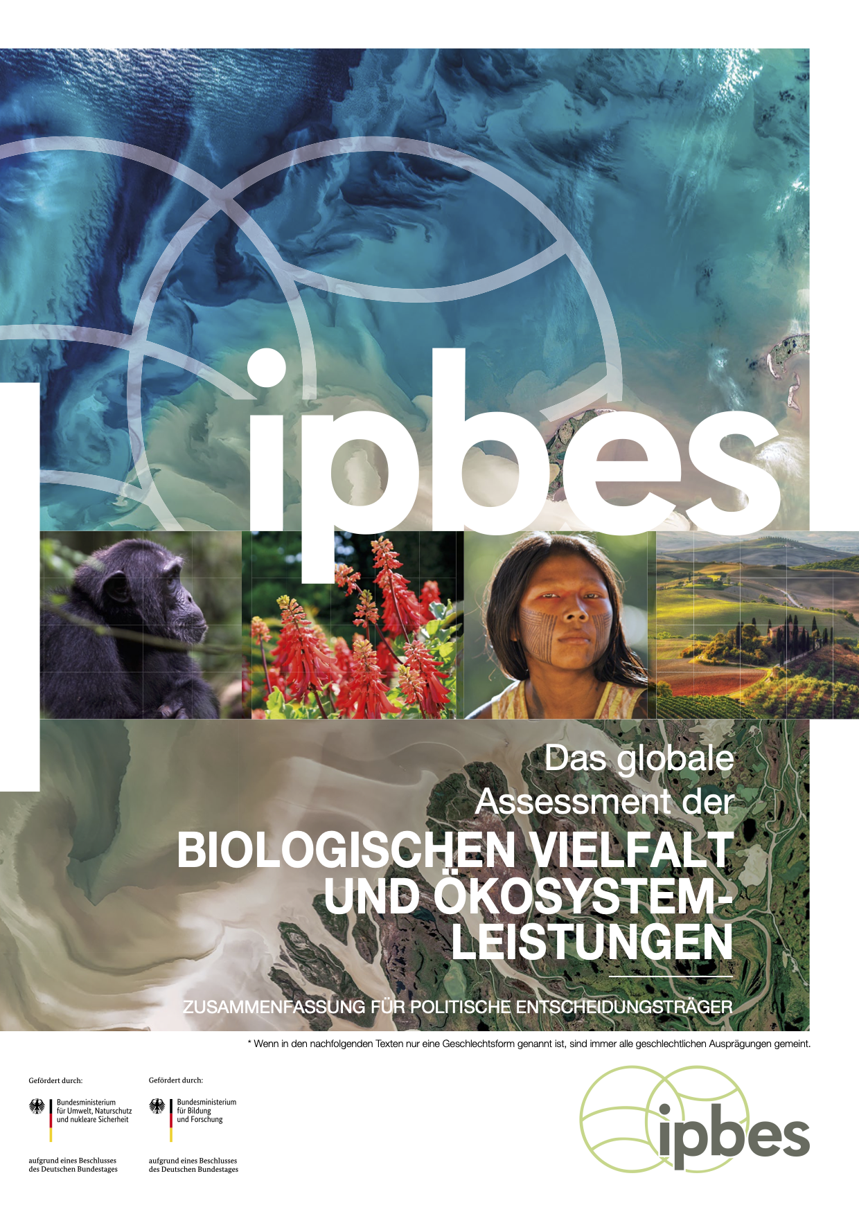 Zusammenfassung für politische Entscheidungsträger des globalen Assessments der biologischen Vielfalt und Ökosystemleistungen der Zwischenstaatlichen Plattform für Biodiversität und Ökosystemleistungen