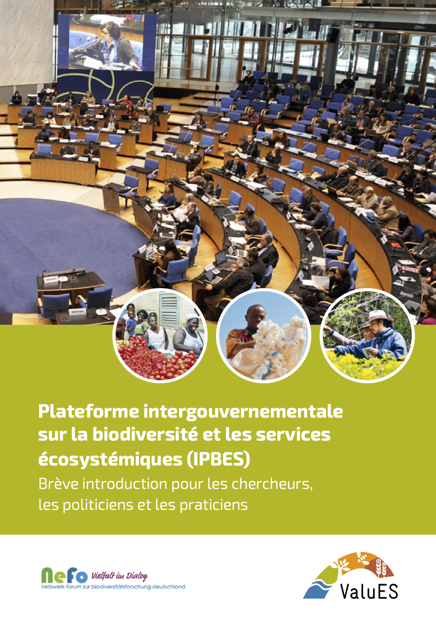 Plateforme intergouvernementale sur la biodiversité et les services écosystémiques (IPBES): Brève introduction pour les chercheurs, les politiciens et les praticiens